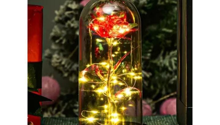 Galaxy Rose Eternal جالاكسي روز تصميم سحرى وانيق..