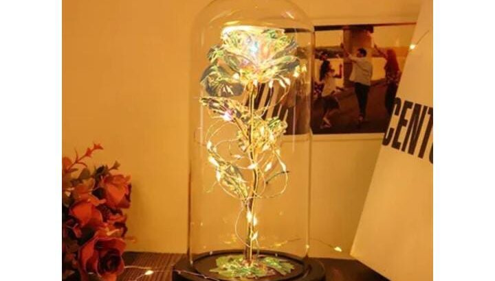 Galaxy Rose Eternal جالاكسي روز تصميم سحرى وانيق..