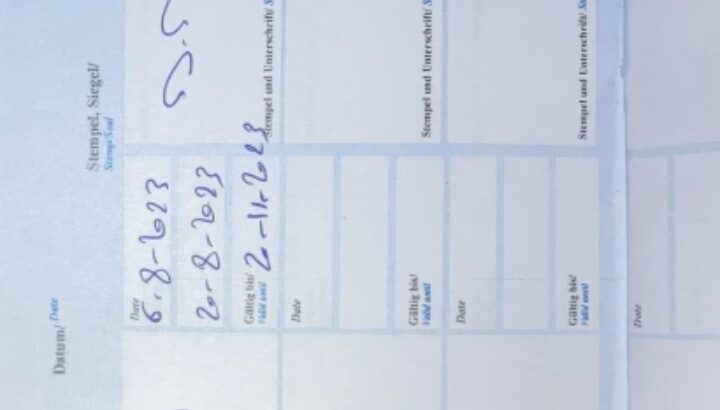 كلب هافانيز عمره ٤ شهور ذكر لونه ابيض