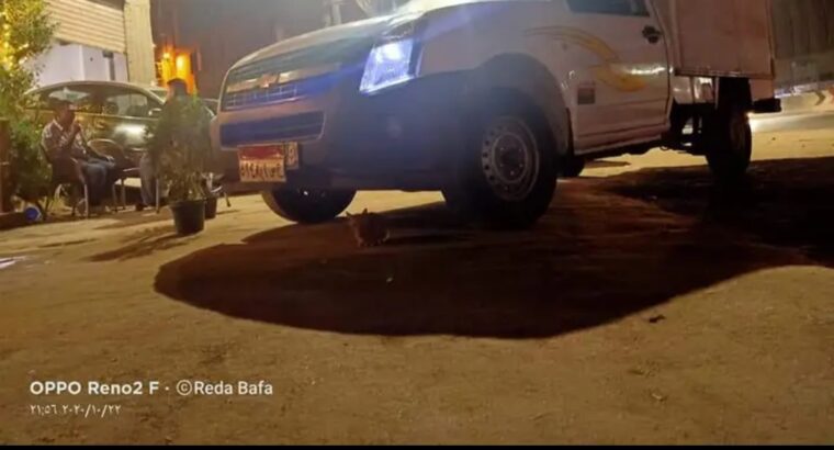 عربيه شيفروليه 2010 للايجار الشهري وفيهما ميكانيكا