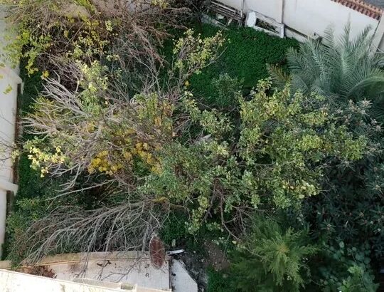 منزل فسيح للبيع في منطقة وزريعة يتمتع بمساحة واسعة