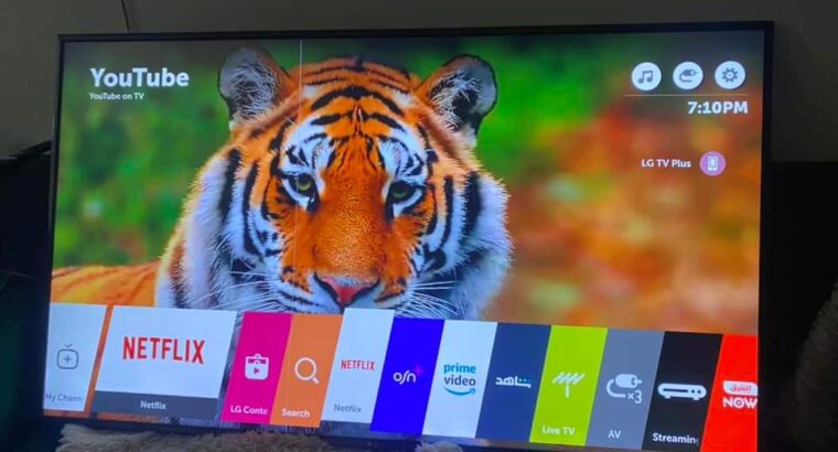 شاشا LG 65 بوصه سمارت الشرقه فيها خط ب