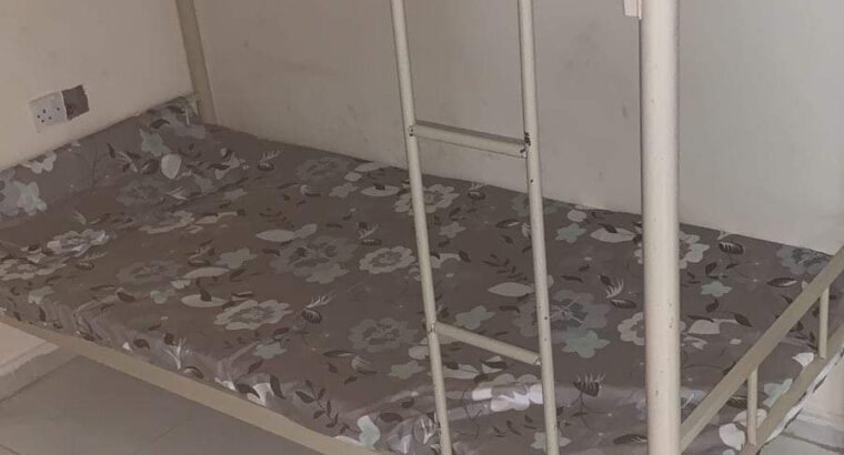 سكن شيرنج شباب داخل راس الخيمه بالنخيل
