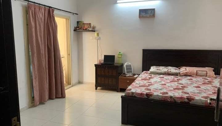 منازل بالشارقة غرفة عائلية وقرود تقسيم وأسرة.