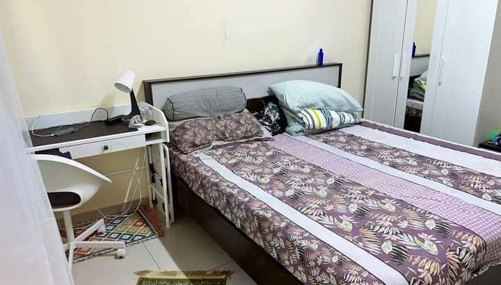 منازل بالشارقة غرفة عائلية وقرود تقسيم وأسرة.