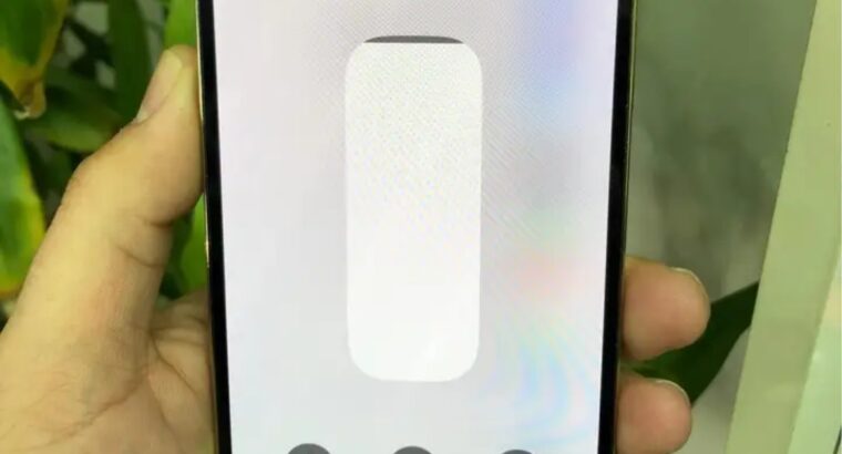 آيفون 13 برو ماكس 256 جيجابايت الحالة ممتازه جدا .