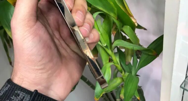 آيفون 13 برو ماكس 256 جيجابايت الحالة ممتازه جدا .