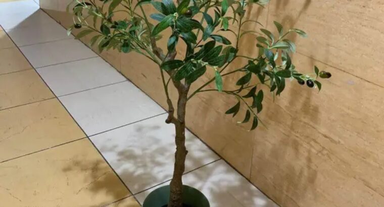 اثاث بحاله ممتازه جدا موجودين بعجمان ويوجد توصيل .