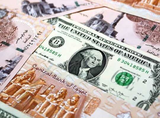سعر الدولار في السوق يشير إلى تحسن اقتصادي في مصر