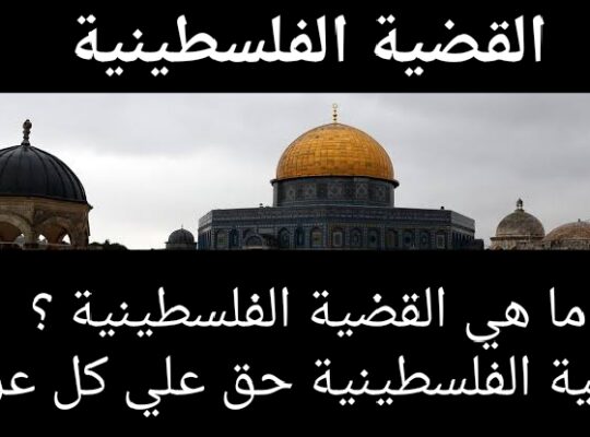 قضية فلسطين قضية كل العرب قضية الشرفاء ؟