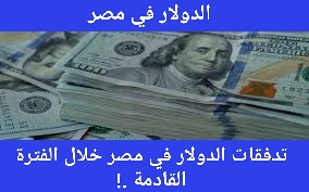 تدفقات الدولار في مصر خلال الفترة القادمة .!