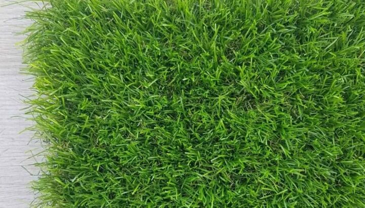 نجيل صناعي vrعزز من جمال حديقة منزلك بإضافة مبهرة