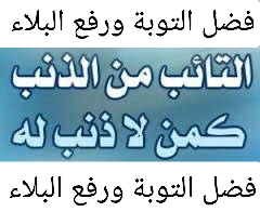 فضل التوبة وما هي فضائل التوبة وقمة العطاء ؟