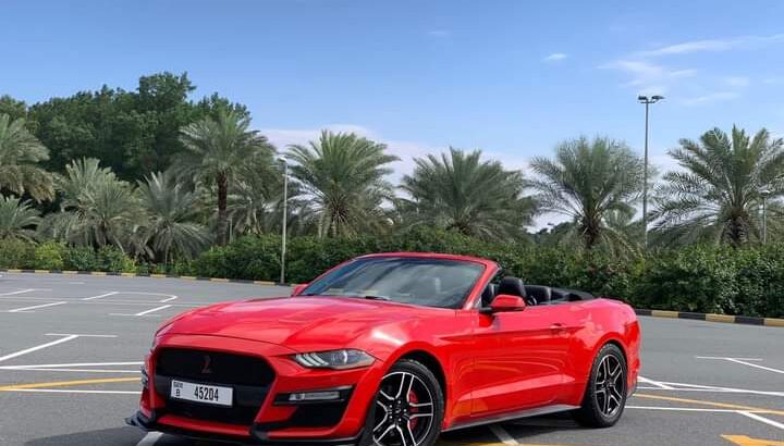 سياره فورد موستنج بريميوم كشف وارد امريكي