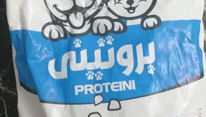Proteini fresh food for dogs and cats