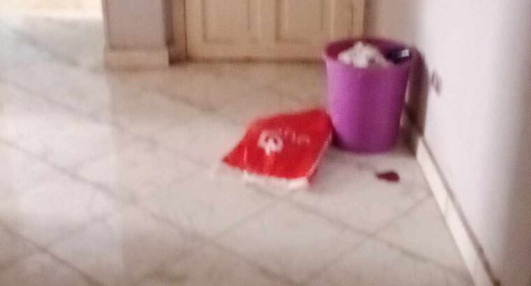 شقه بجمال عبد الناصر جسر السويس