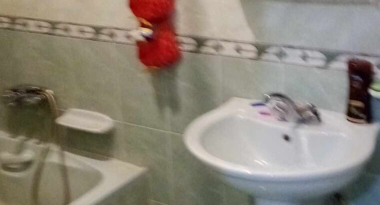 شقه بجمال عبد الناصر جسر السويس