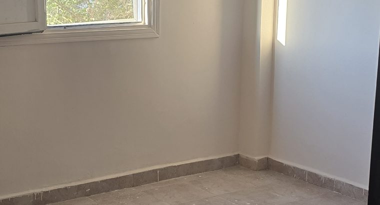 ستوديو للايجار فاضى