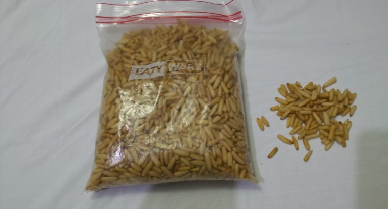 صنوبر اماراتي