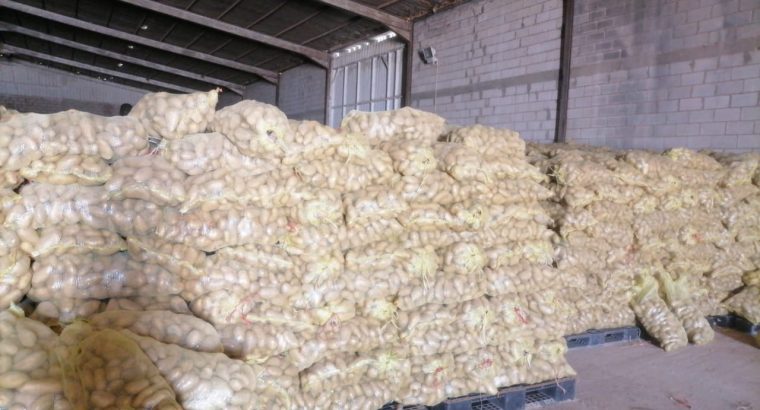 للمصانع والمطاعم بطاطس Zorba تصنيعي