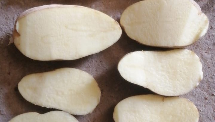 للمصانع والمطاعم بطاطس Zorba تصنيعي