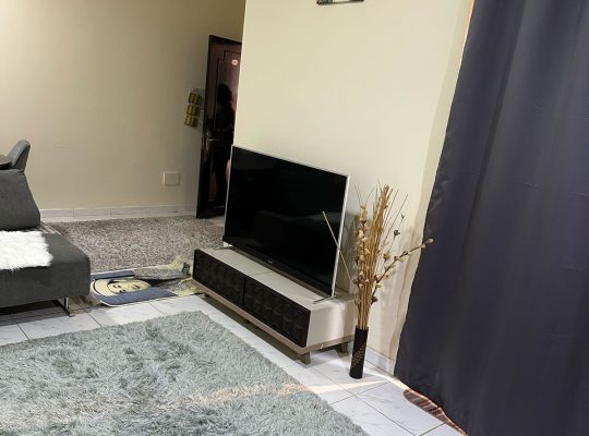ستوديو مفروش للإيجار شهرى نعيمية 1