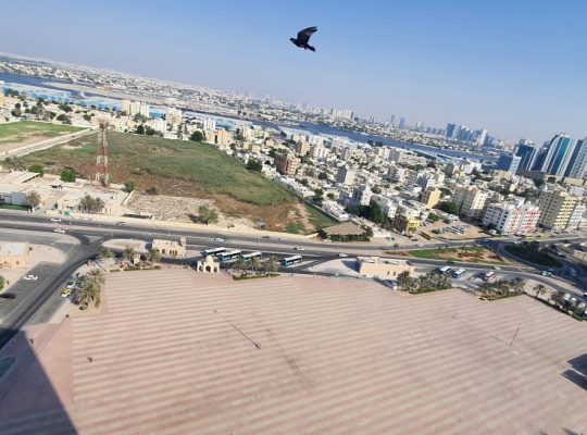شقة غرفتين وصالة للإيجار بالبستان