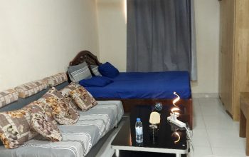 ستوديو مفروش بالبلكونة نعيمية ٣