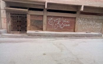 المنصوره الدراسات