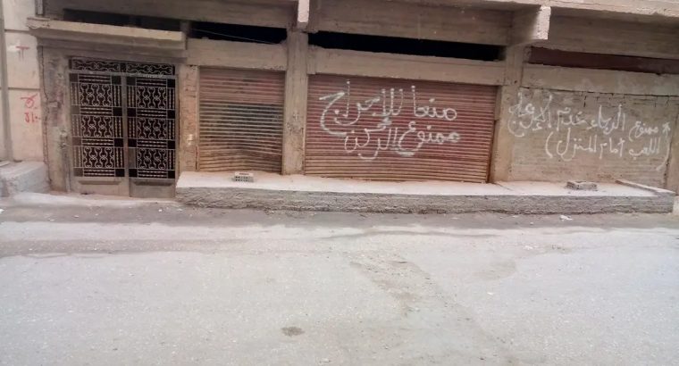 المنصوره الدراسات