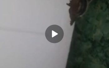 غسالة هوڤر 7 كيلو