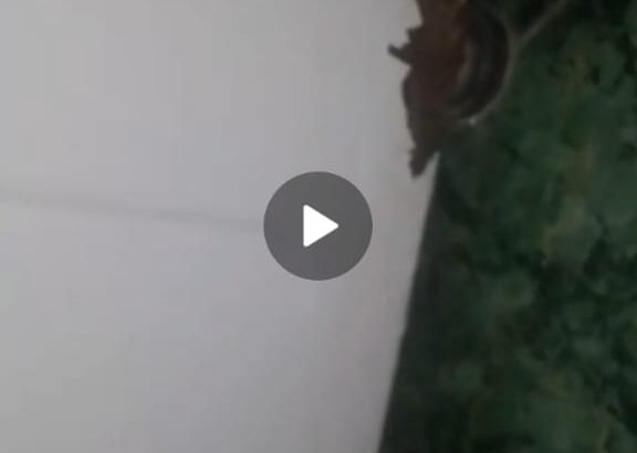 غسالة هوڤر 7 كيلو
