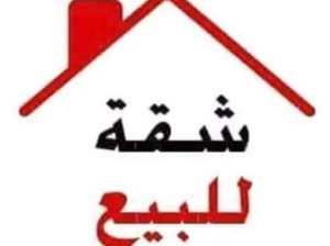 الاسكندريه العجمي البوابه 8