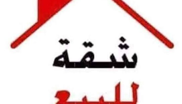 الاسكندريه العجمي البوابه 8