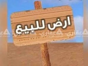 الاسكندريه العجمي البوابه 8 بحري