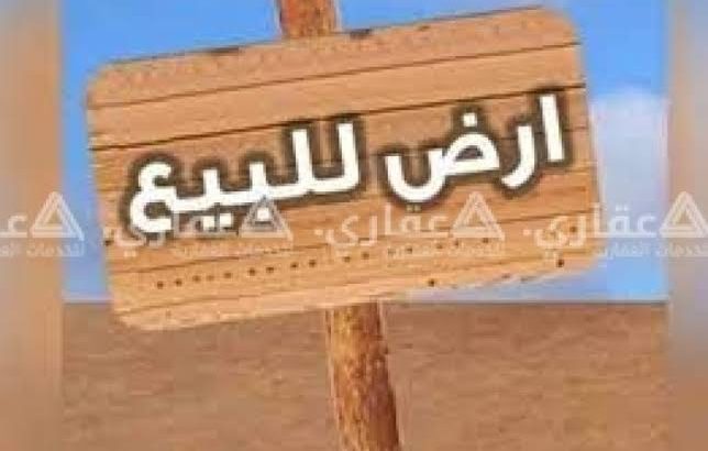 الاسكندريه العجمي البوابه 8 بحري