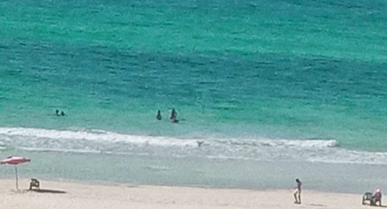 العجمي الهانوفيل اخر شارع الجمعية