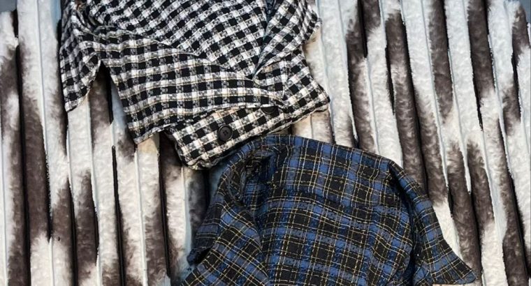 بليرو بيدبول الوان